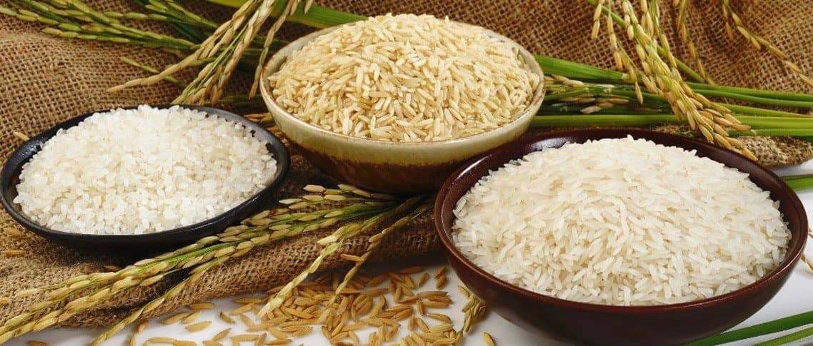 شروع مجدد واردات برنج به کشور