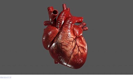 شناسایی ژن ضدپیری‌‌ای که قلب را ۱۰ سال به عقب برمی‌گرداند