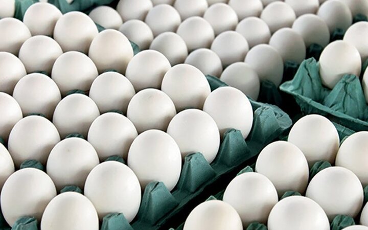 قیمت تخم مرغ امروز ۲۸ اردیبهشت ۱۴۰۱ اعلام شد