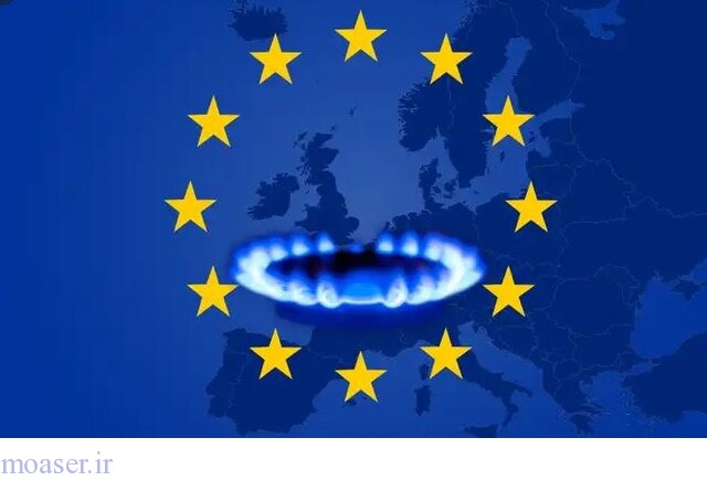 هشدار قطع گاز در اروپا؛ توقف تولید ماست فرانسوی 