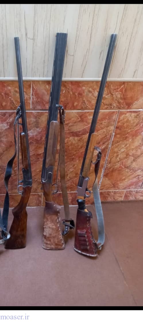 کشف  4 اسلحه در منطقه حفاظت شده بهرام گور(فارس)