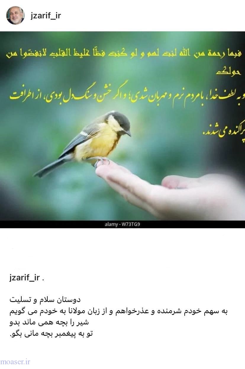 پیام تسلیت ظریف برای درگذشت مهسا امینی