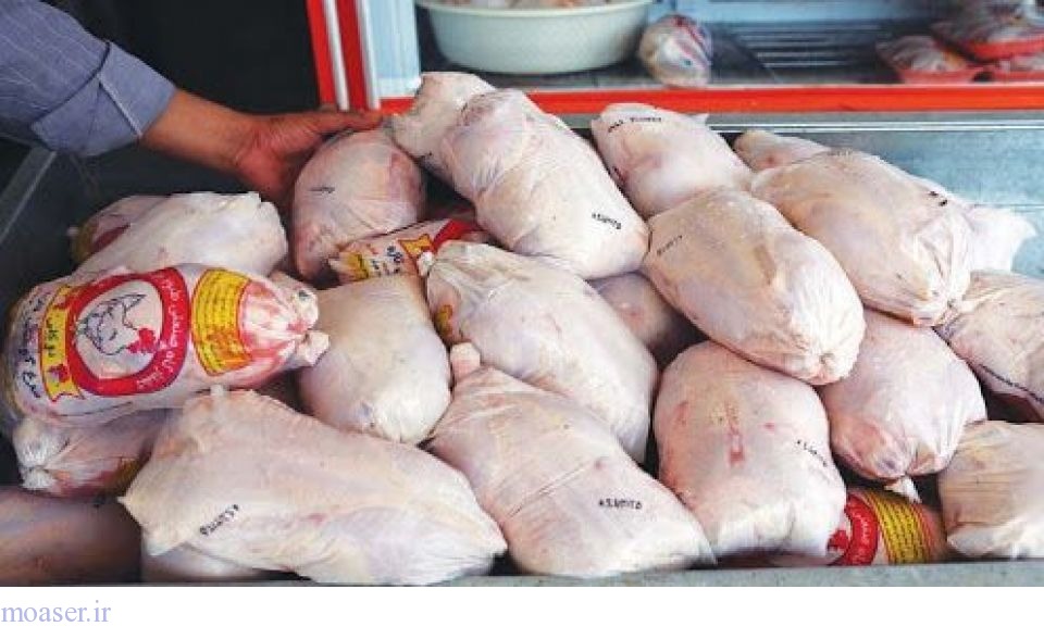  فروشندگان مرغ: خریدار نیست؛ دیگر به التماس افتاده‌ایم