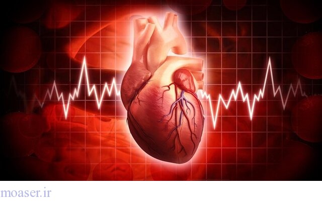 یک کارشناس: سهم ۴۲ درصدی بیماری‌های قلبی در مرگ‌ها