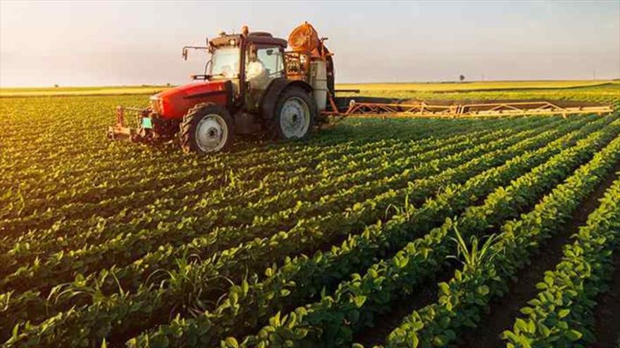 افزایش صادرات محصولات کشاورزی