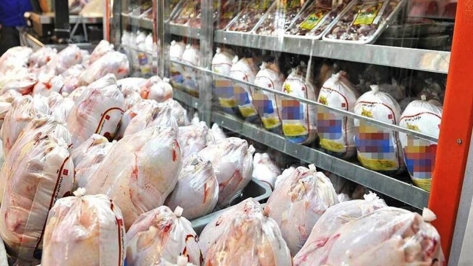 شرایط صادرات گوشت مرغ فراهم شد