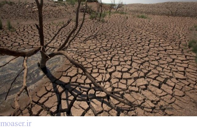 روزنامه اطلاعات: دفاع مسئولان از کاشت محصولات در مناطق کویری با وجود خشکسالی