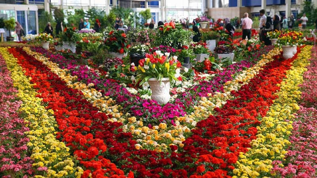 نمایشگاه بین‌المللی گل و گیاه درمشهد آغاز به کار کرد