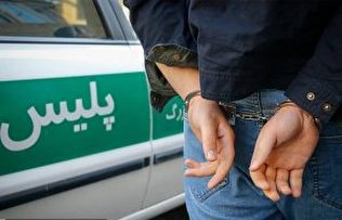 دستگیری سارقان مسلح در جنوب پایتخت