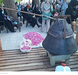 ۱۸۰ هزار نفر از جشنواره گلاب‌گیری کرج بازدید کردند