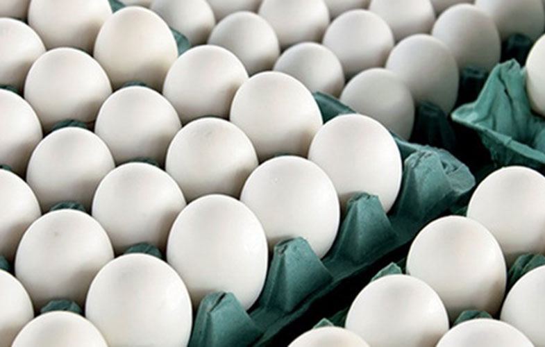 صادرات ۳۰ هزار تن تخم مرغ از ابتدایی امسال