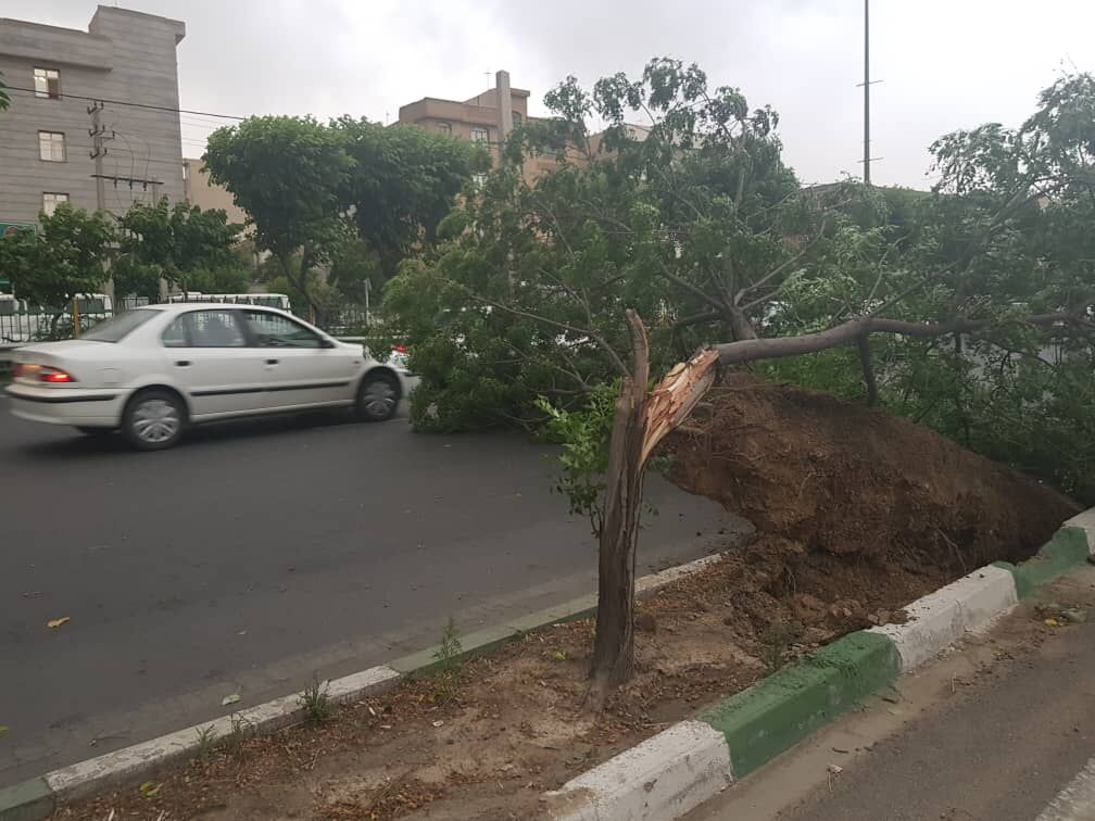 وزش باد شدید و بروز خسارت در برخی نقاط در تهران