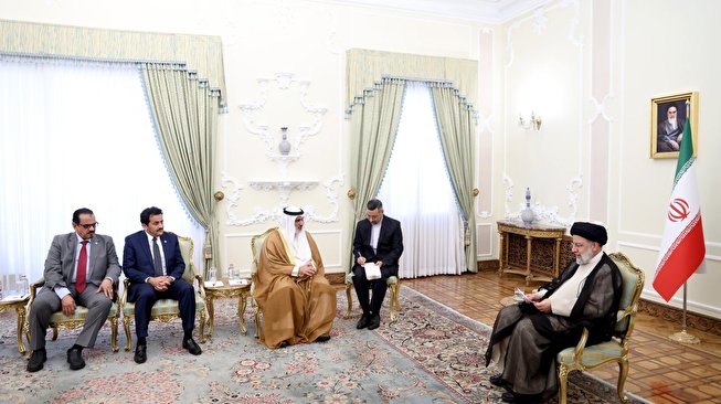 رئیس جمهور در دیدار با دبیرکل سازمان اوپک