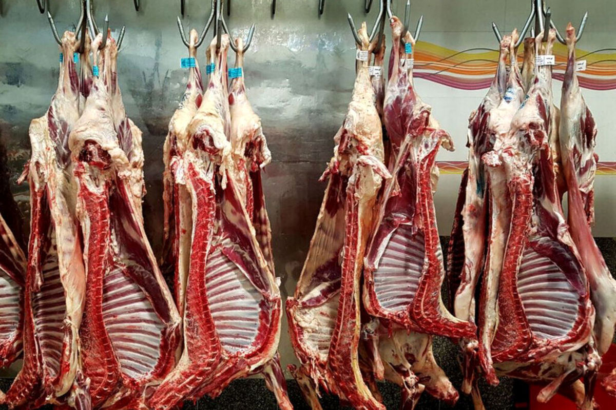 توزیع گوشت قرمز وارداتی در بازار