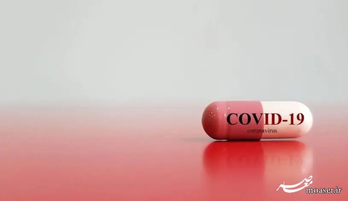 کشف داروهای جدید که در برابر کووید-۱۹ و سایر ویروس‌ها مؤثر هستند