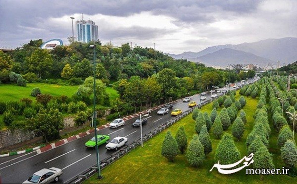 شهرداری تهران، الگویی نامناسب برای حفاظت از فضای سبز