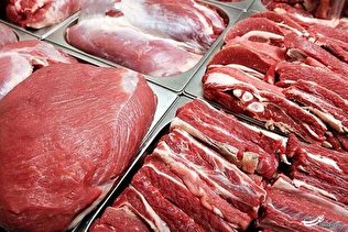 ارز واردات ۱۷۰ هزار تن گوشت قرمز اختصاص یافت