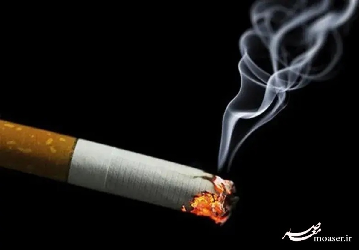 سیگاری‌ها روزانه ۲۰میلیارد تومان پول را دود می‌کنند