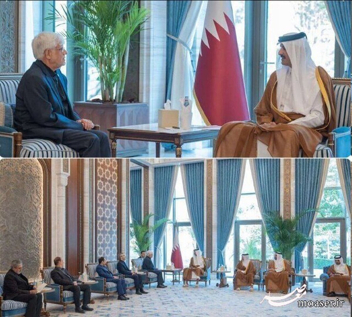 عارف با امیر قطر دیدار کرد
