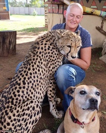 وقتی یک یوزپلنگ زنی را از سرطان نجات داد